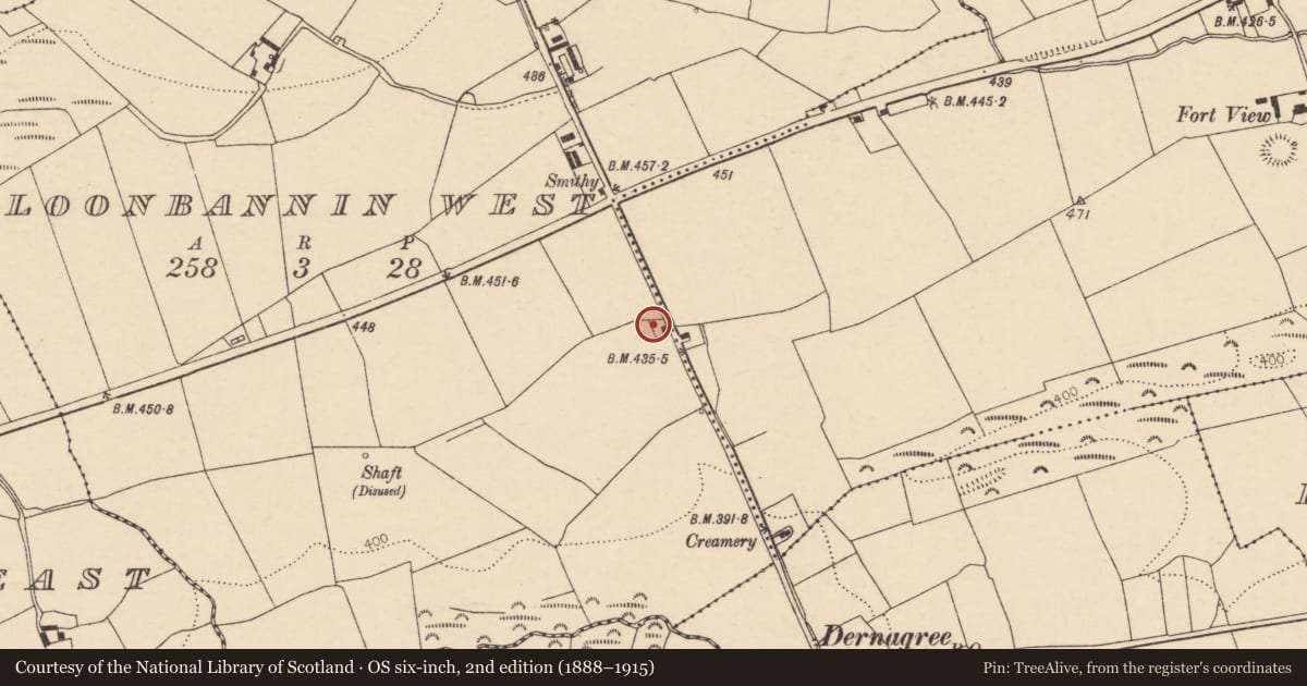 Ordnance Survey six-inch map, 2nd edition (1888–1915) covering the location of House - vernacular house, Cloonbannin West, County Cork, with a pin at the register's coordinates