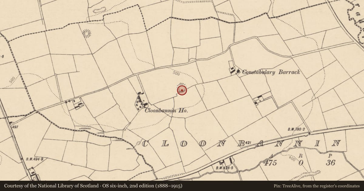 Ordnance Survey six-inch map, 2nd edition (1888–1915) covering the location of Ringfort - rath, Cloonbannin East, County Cork, with a pin at the register's coordinates