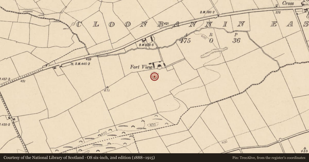 Ordnance Survey six-inch map, 2nd edition (1888–1915) covering the location of Ringfort - rath, Cloonbannin East, County Cork, with a pin at the register's coordinates