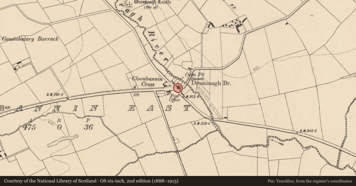 Ordnance Survey six-inch map, 2nd edition (1888–1915) covering the location of House - vernacular house, Cloonbannin East, County Cork, with a pin at the register's coordinates
