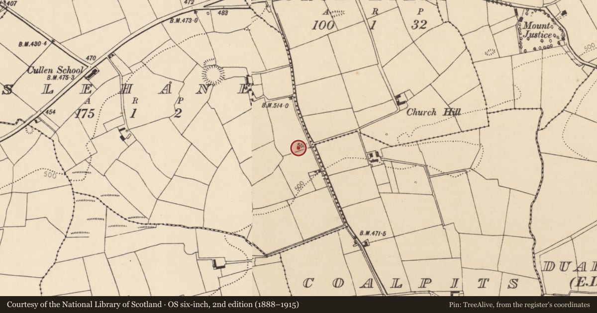 Ordnance Survey six-inch map, 2nd edition (1888–1915) covering the location of Fulacht fia, Lislehane, County Cork, with a pin at the register's coordinates