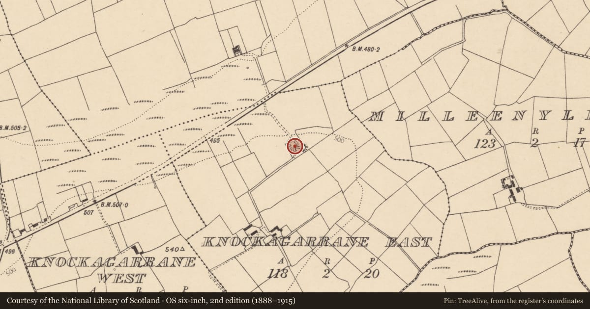 Ordnance Survey six-inch map, 2nd edition (1888–1915) covering the location of Ringfort - rath, Knockagarrane East, County Cork, with a pin at the register's coordinates