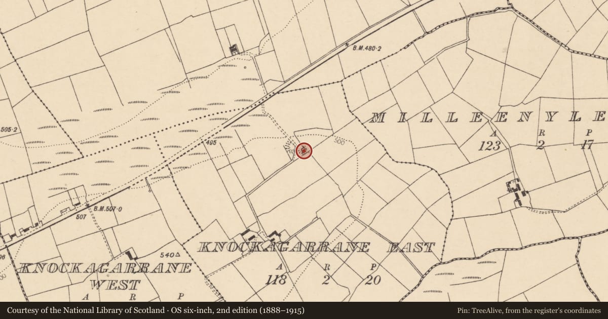 Ordnance Survey six-inch map, 2nd edition (1888–1915) covering the location of Souterrain, Knockagarrane East, County Cork, with a pin at the register's coordinates