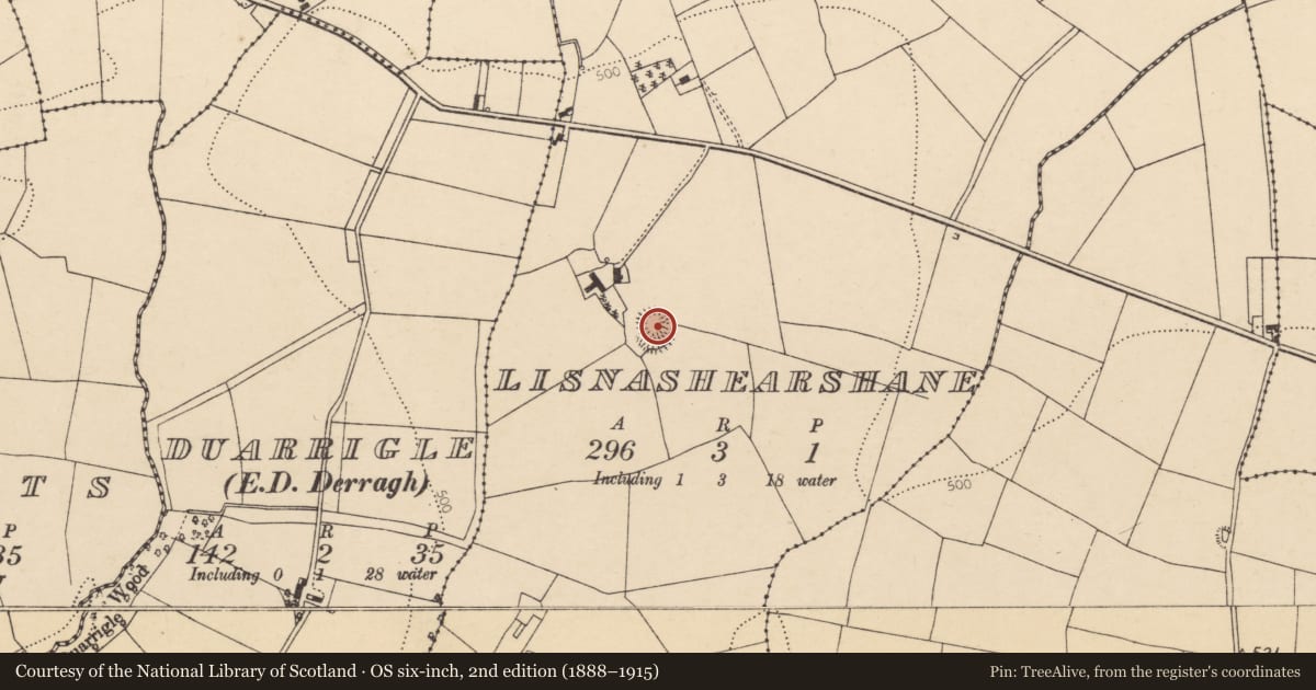 Ordnance Survey six-inch map, 2nd edition (1888–1915) covering the location of Ringfort - rath, Lisnashearshane, County Cork, with a pin at the register's coordinates