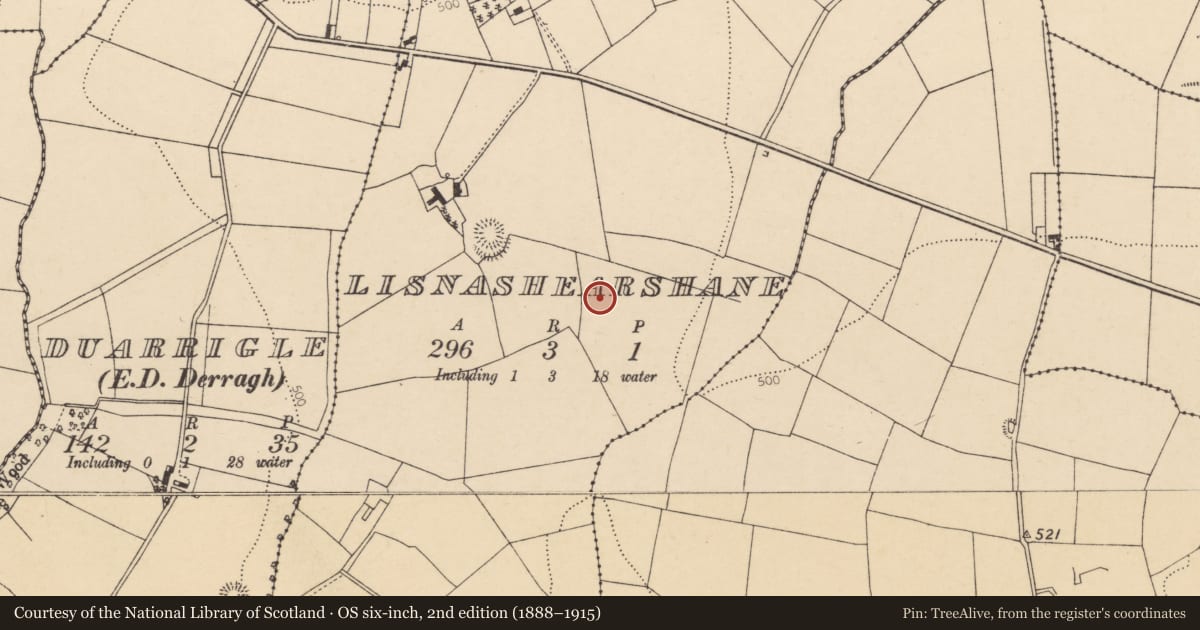 Ordnance Survey six-inch map, 2nd edition (1888–1915) covering the location of Fulacht fia, Lisnashearshane, County Cork, with a pin at the register's coordinates