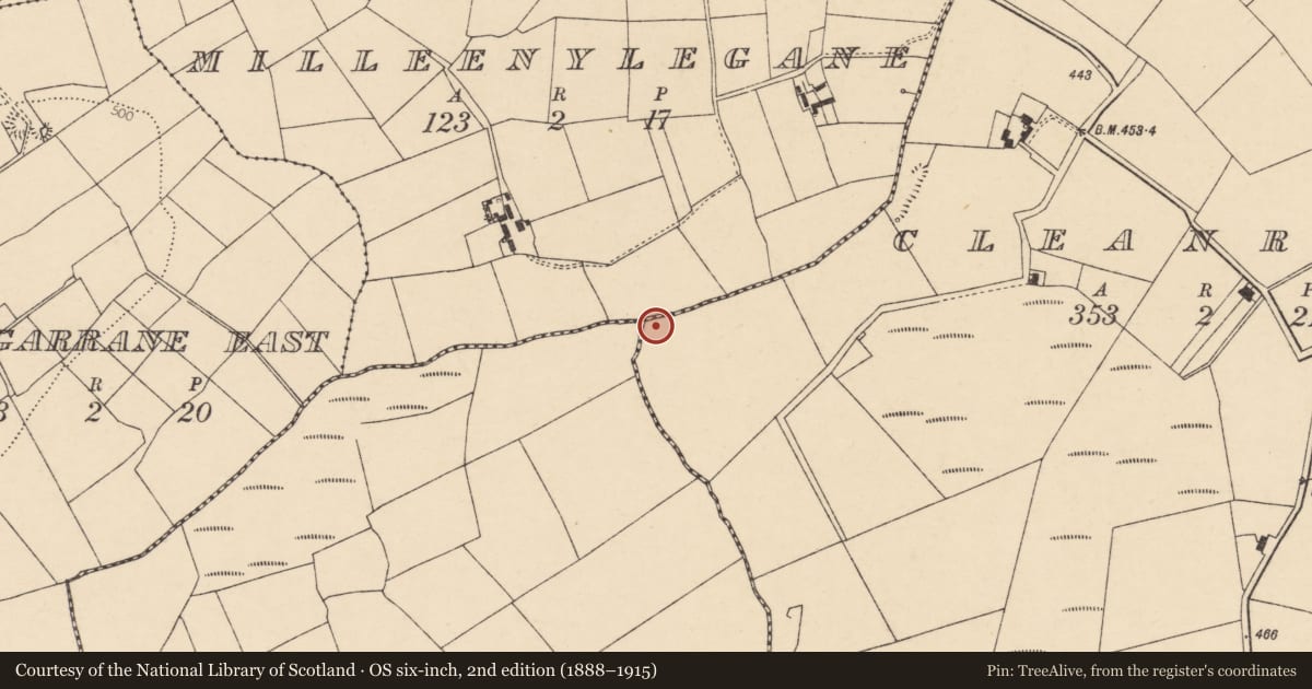 Ordnance Survey six-inch map, 2nd edition (1888–1915) covering the location of Fulacht fia, Cleanrath, County Cork, with a pin at the register's coordinates
