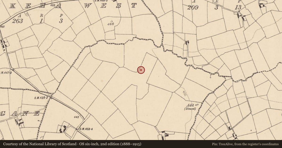 Ordnance Survey six-inch map, 2nd edition (1888–1915) covering the location of Ringfort - rath, Cleanrath, County Cork, with a pin at the register's coordinates