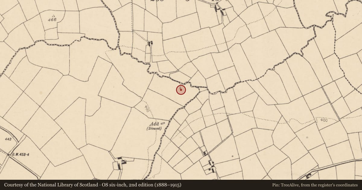 Ordnance Survey six-inch map, 2nd edition (1888–1915) covering the location of Ritual site - holy well, Cleanrath, County Cork, with a pin at the register's coordinates