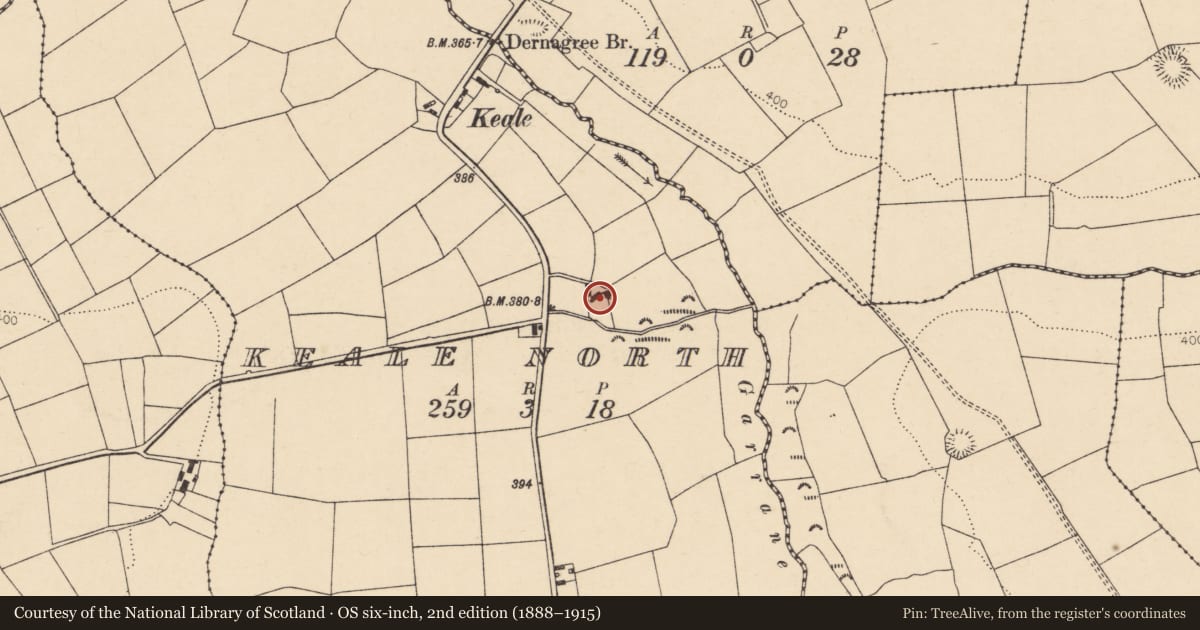 Ordnance Survey six-inch map, 2nd edition (1888–1915) covering the location of Ringfort - rath, Keale North, County Cork, with a pin at the register's coordinates