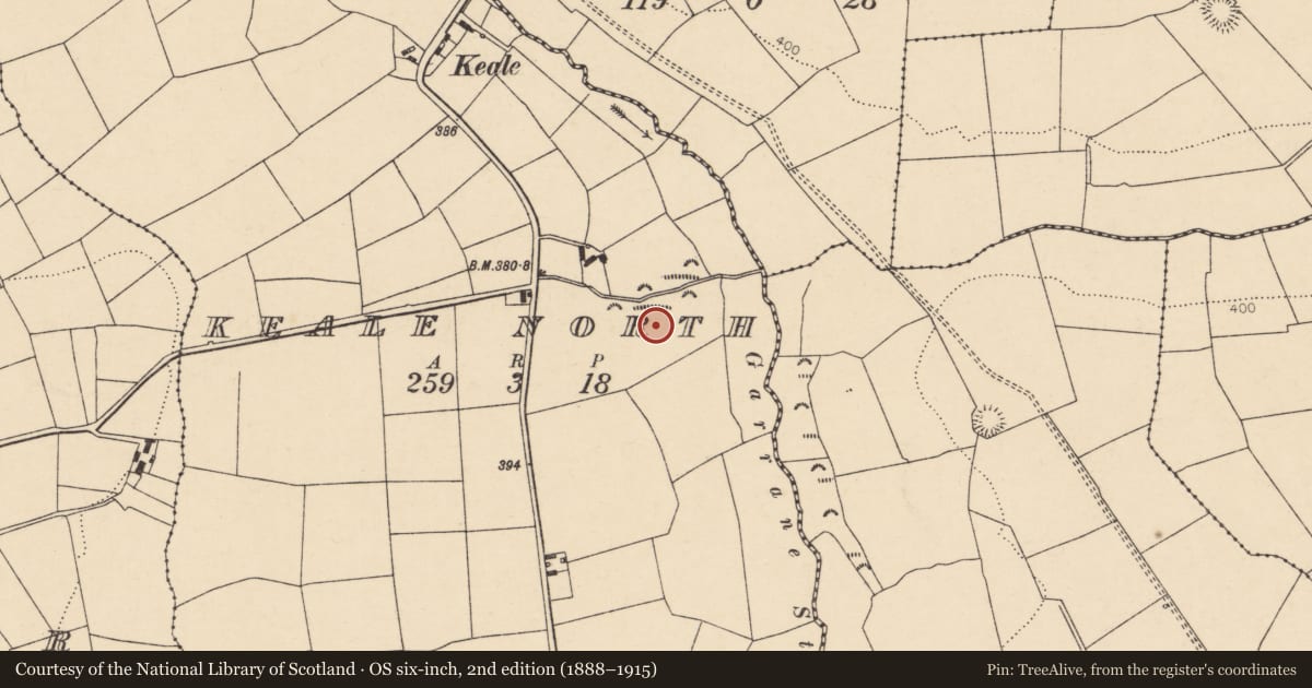 Ordnance Survey six-inch map, 2nd edition (1888–1915) covering the location of Ringfort - rath, Keale North, County Cork, with a pin at the register's coordinates