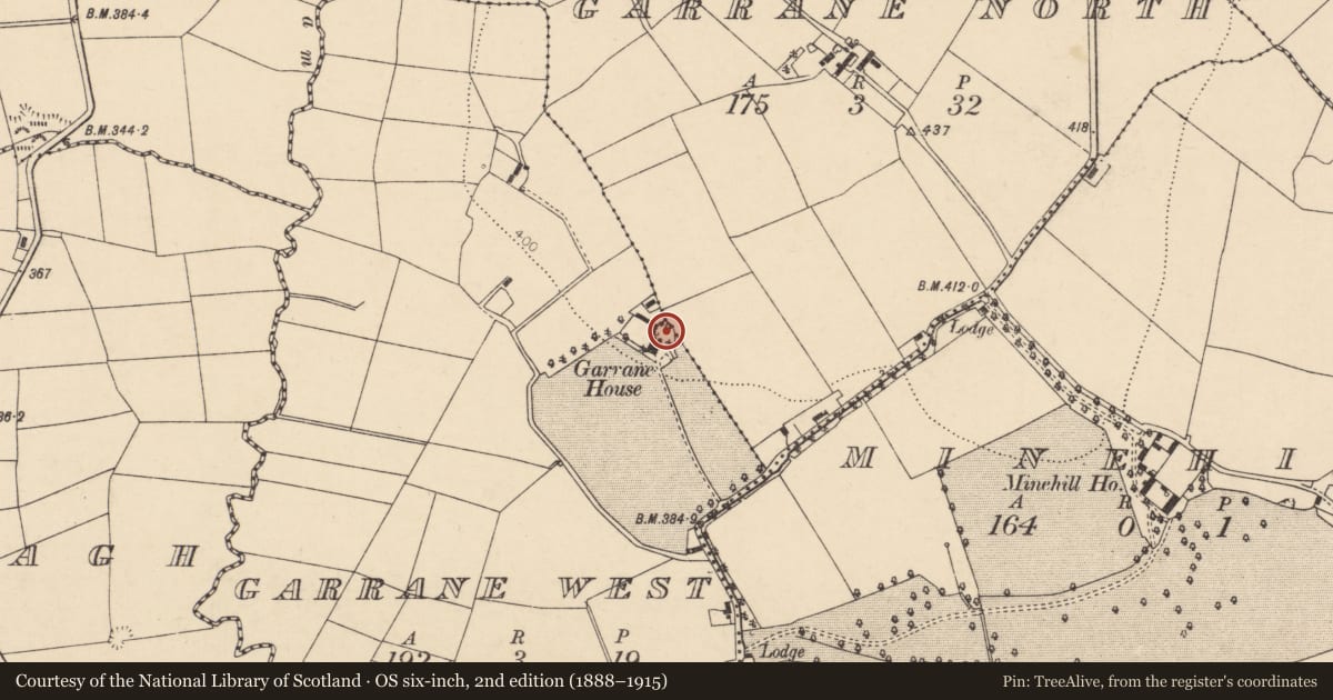 Ordnance Survey six-inch map, 2nd edition (1888–1915) covering the location of Ringfort - rath, Garrane West, County Cork, with a pin at the register's coordinates