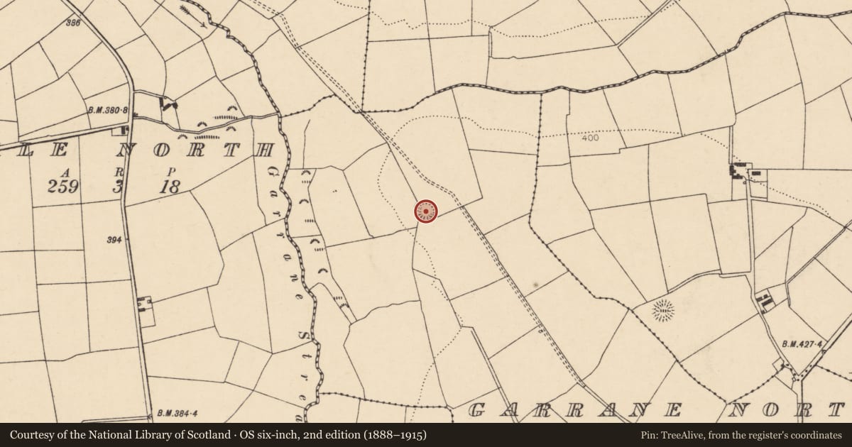 Ordnance Survey six-inch map, 2nd edition (1888–1915) covering the location of Ringfort - rath, Garrane North, County Cork, with a pin at the register's coordinates