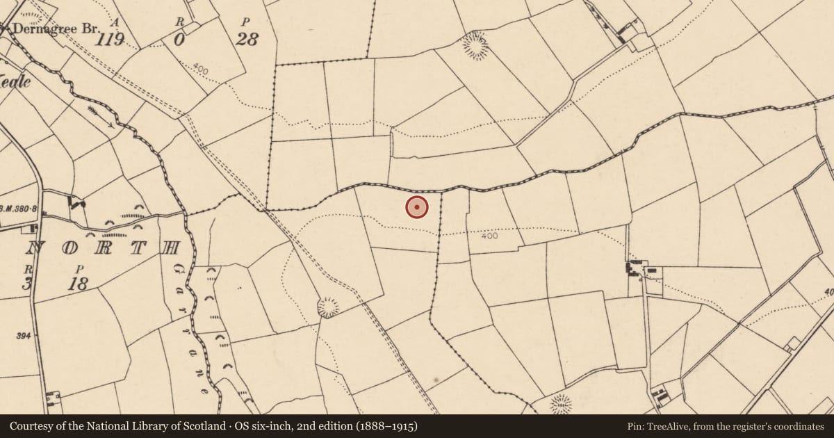 Ordnance Survey six-inch map, 2nd edition (1888–1915) covering the location of Fulacht fia, Garrane North, County Cork, with a pin at the register's coordinates