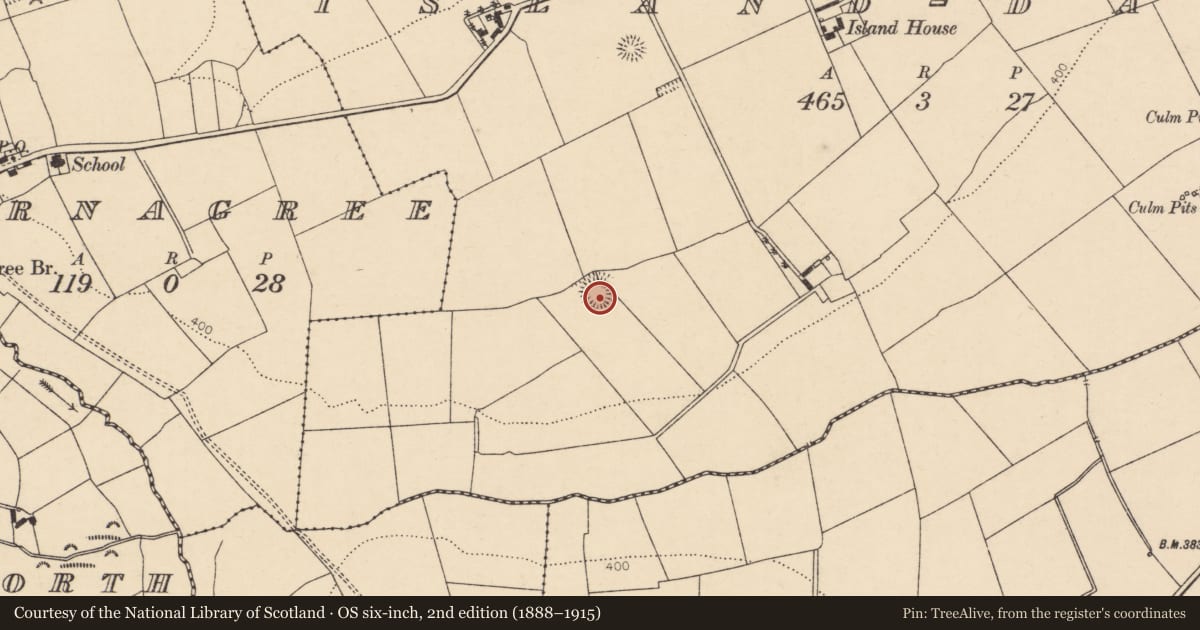 Ordnance Survey six-inch map, 2nd edition (1888–1915) covering the location of Ringfort - rath, Island-Dahill, County Cork, with a pin at the register's coordinates