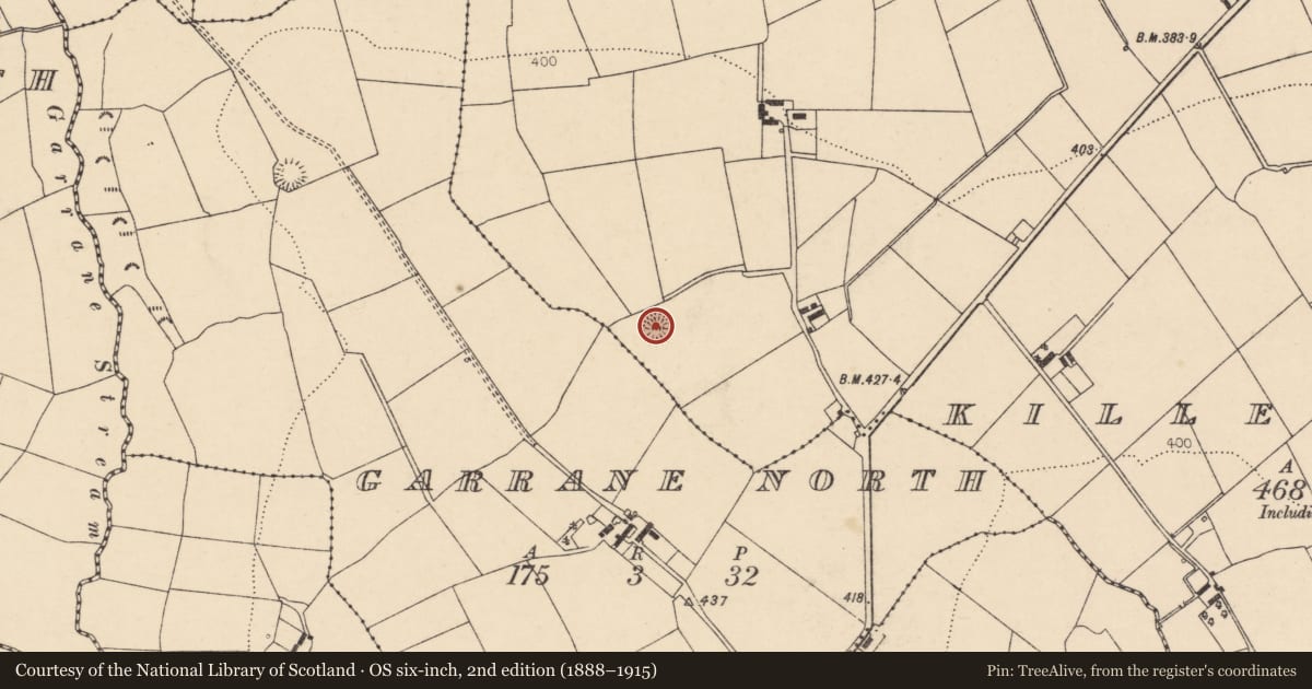 Ordnance Survey six-inch map, 2nd edition (1888–1915) covering the location of Ringfort - rath, Killetragh, County Cork, with a pin at the register's coordinates