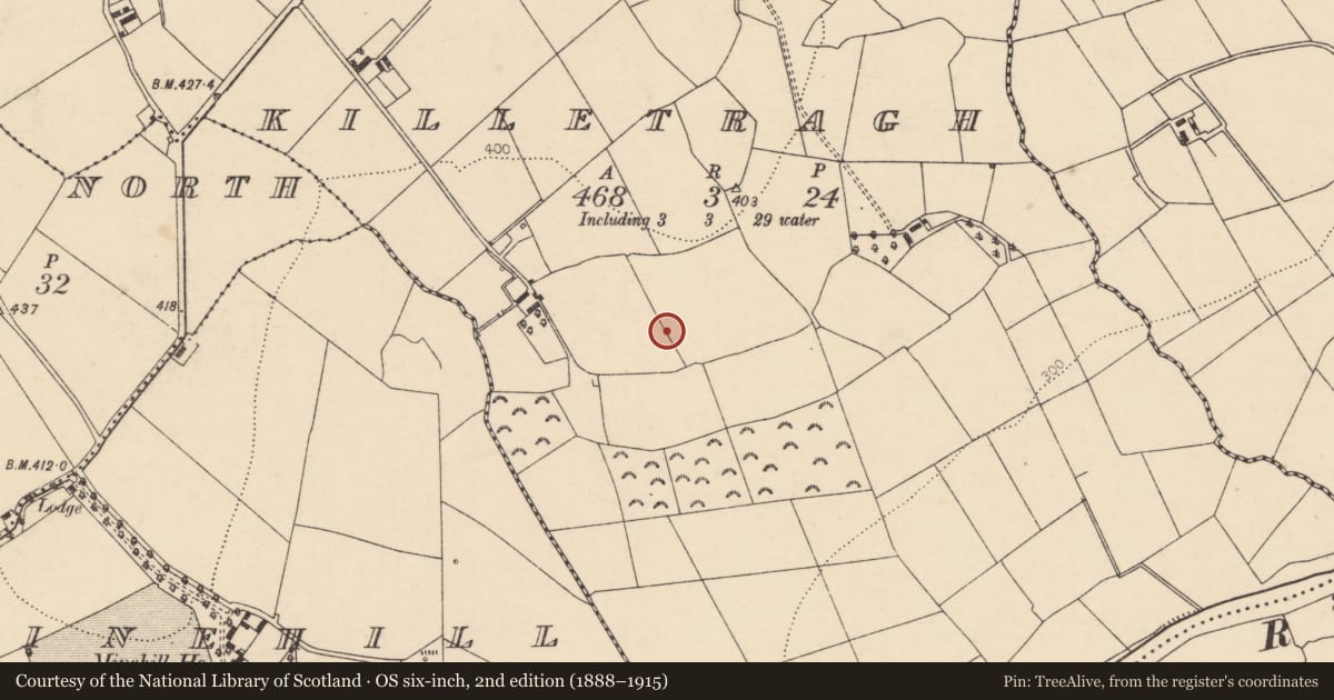 Ordnance Survey six-inch map, 2nd edition (1888–1915) covering the location of Ringfort - rath, Killetragh, County Cork, with a pin at the register's coordinates
