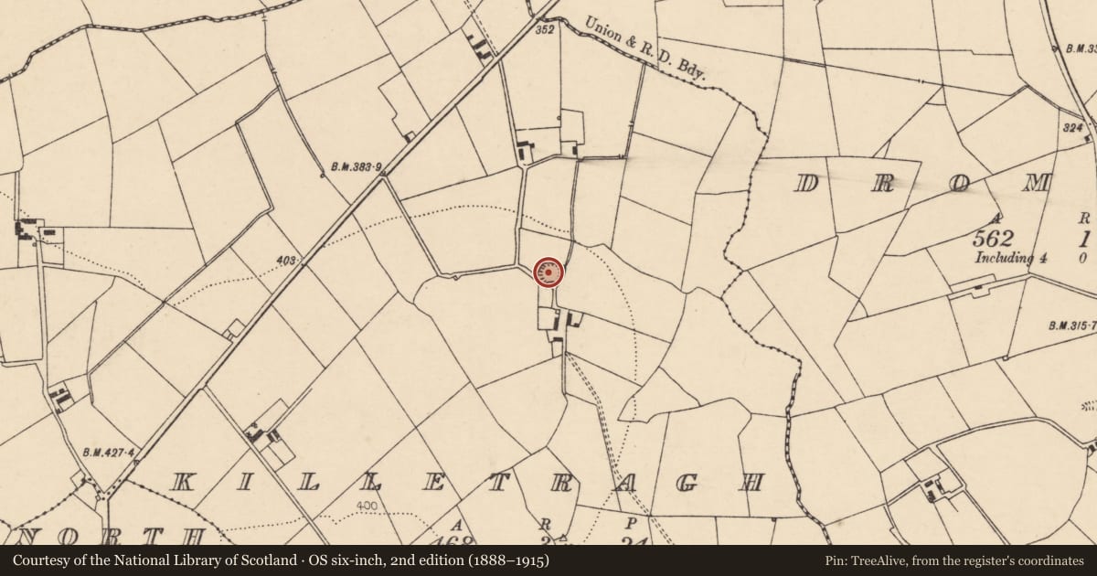 Ordnance Survey six-inch map, 2nd edition (1888–1915) covering the location of Ringfort - rath, Killetragh, County Cork, with a pin at the register's coordinates