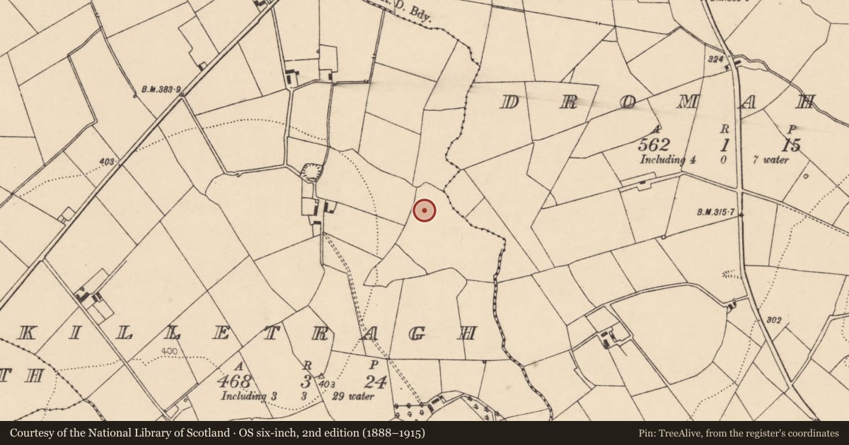 Ordnance Survey six-inch map, 2nd edition (1888–1915) covering the location of Fulacht fia, Killetragh, County Cork, with a pin at the register's coordinates
