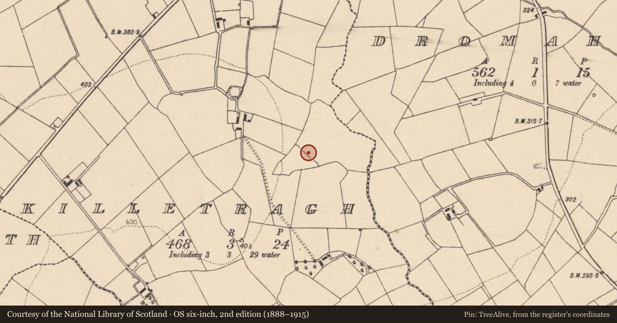 Ordnance Survey six-inch map, 2nd edition (1888–1915) covering the location of Fulacht fia, Killetragh, County Cork, with a pin at the register's coordinates