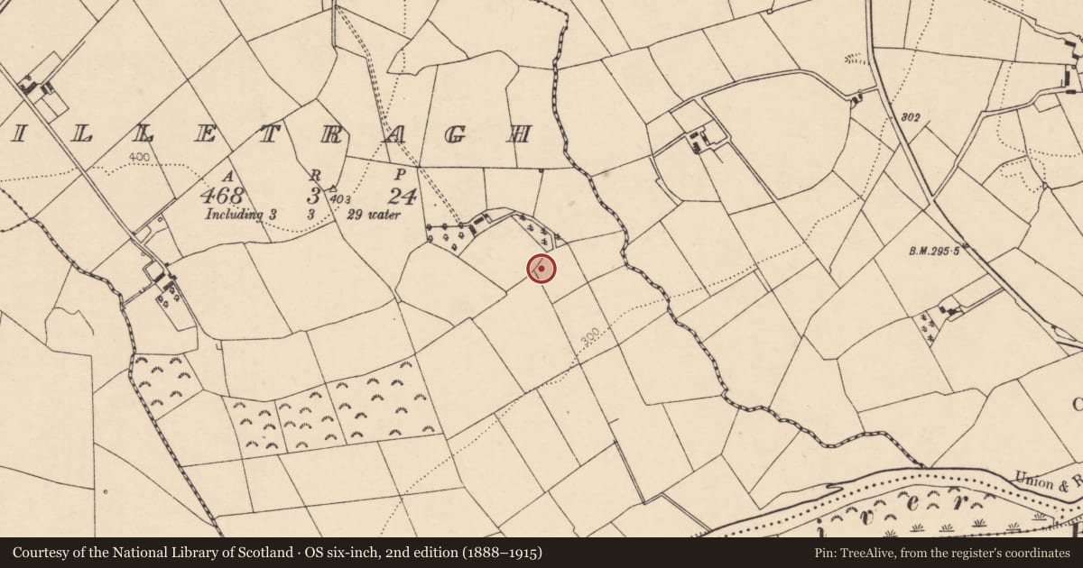 Ordnance Survey six-inch map, 2nd edition (1888–1915) covering the location of Fulacht fia, Killetragh, County Cork, with a pin at the register's coordinates