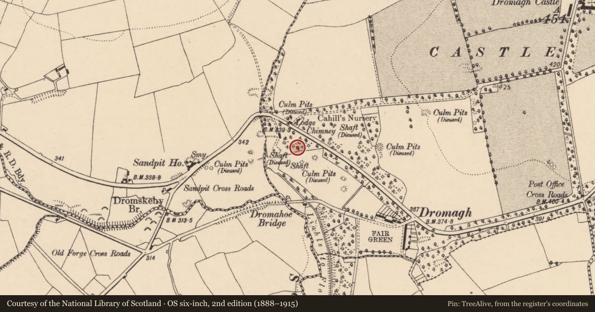 Ordnance Survey six-inch map, 2nd edition (1888–1915) covering the location of Mining complex, Dromagh, Dromskehy, County Cork, with a pin at the register's coordinates