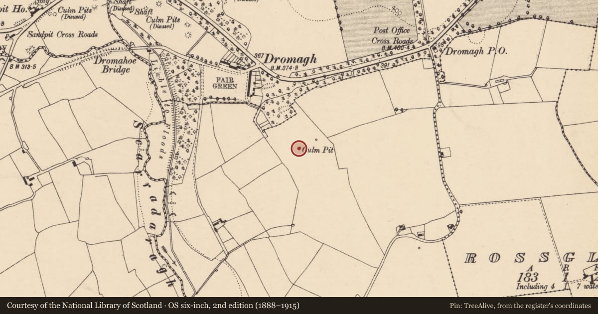 Ordnance Survey six-inch map, 2nd edition (1888–1915) covering the location of Mine, Ducleagh, County Cork, with a pin at the register's coordinates