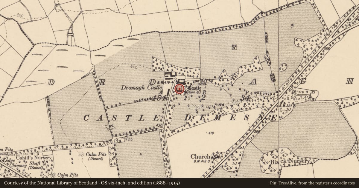 Ordnance Survey six-inch map, 2nd edition (1888–1915) covering the location of Bawn, Dromagh, County Cork, with a pin at the register's coordinates