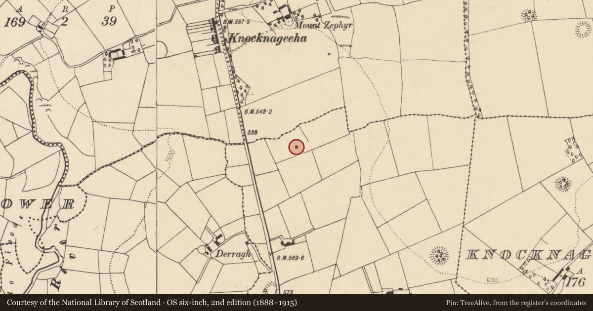 Ordnance Survey six-inch map, 2nd edition (1888–1915) covering the location of Fulacht fia, Ardnageeha, County Cork, with a pin at the register's coordinates