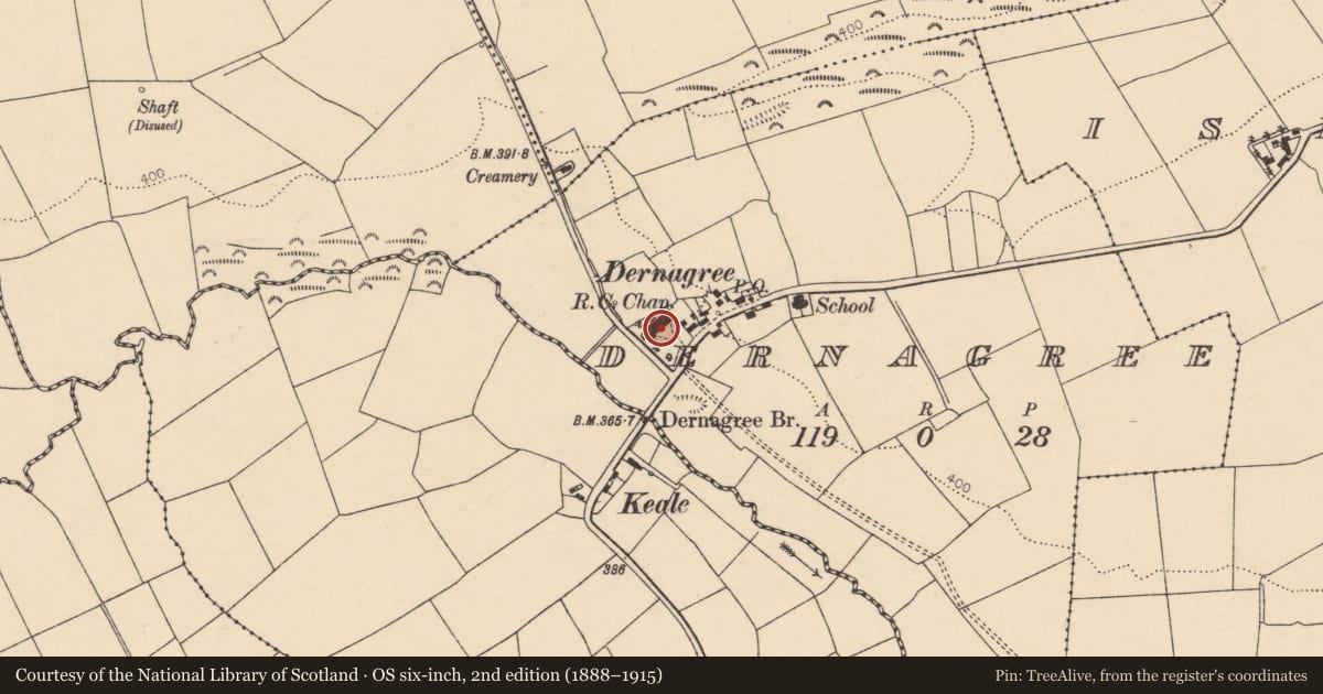 Ordnance Survey six-inch map, 2nd edition (1888–1915) covering the location of Church, Dernagree, County Cork, with a pin at the register's coordinates