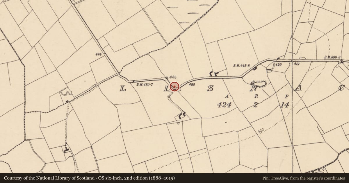 Ordnance Survey six-inch map, 2nd edition (1888–1915) covering the location of Ringfort - rath, Lisnacon, County Cork, with a pin at the register's coordinates