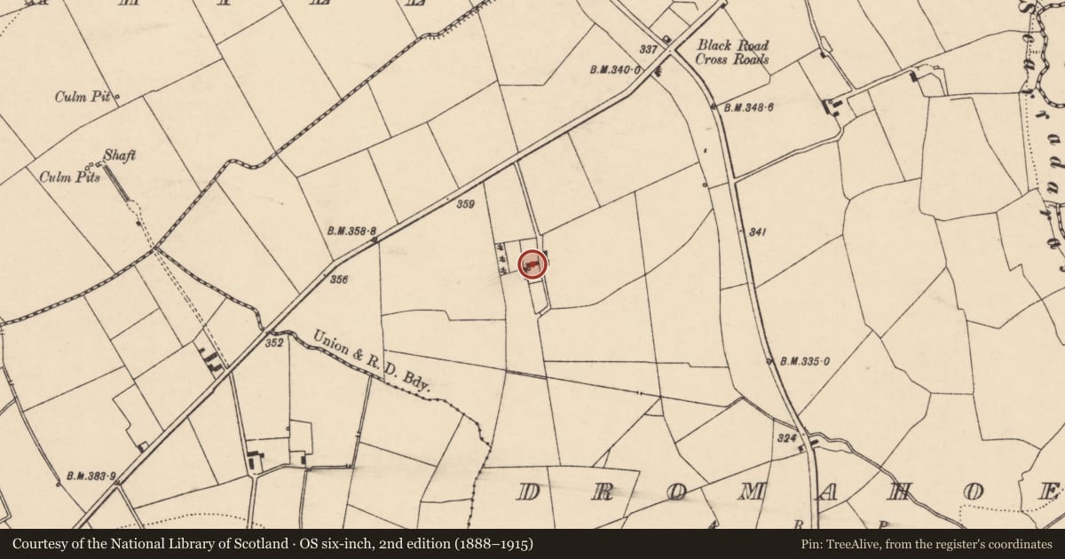 Ordnance Survey six-inch map, 2nd edition (1888–1915) covering the location of House - vernacular house, Dromahoe, County Cork, with a pin at the register's coordinates
