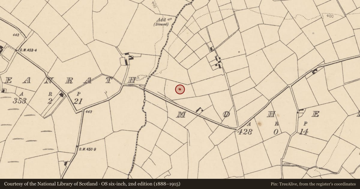 Ordnance Survey six-inch map, 2nd edition (1888–1915) covering the location of Fulacht fia, Moher, County Cork, with a pin at the register's coordinates