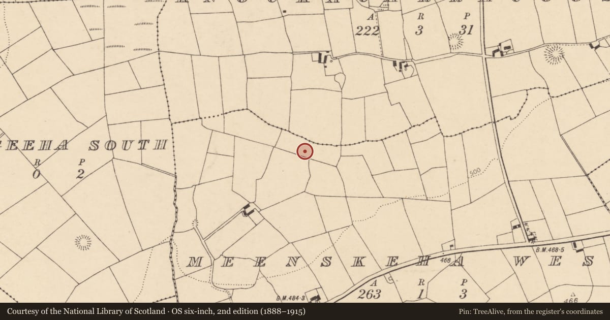 Ordnance Survey six-inch map, 2nd edition (1888–1915) covering the location of Fulacht fia, Meenskeha West, County Cork, with a pin at the register's coordinates