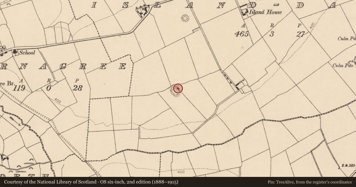 Ordnance Survey six-inch map, 2nd edition (1888–1915) covering the location of Kiln - lime, Island-Dahill, County Cork, with a pin at the register's coordinates