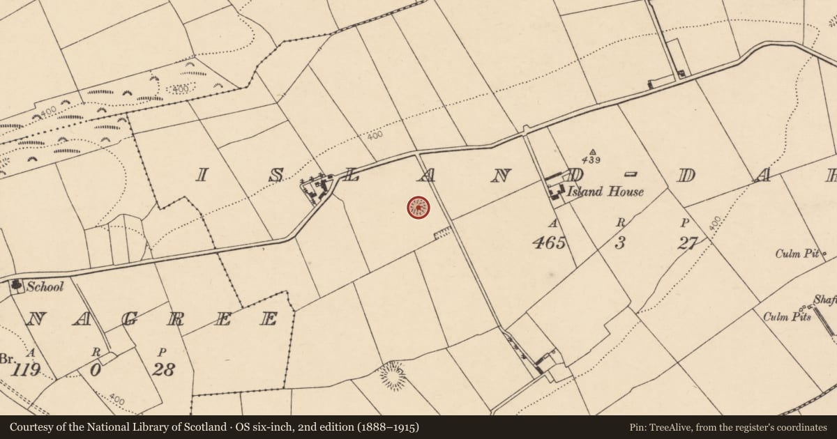 Ordnance Survey six-inch map, 2nd edition (1888–1915) covering the location of Souterrain, Island-Dahill, County Cork, with a pin at the register's coordinates