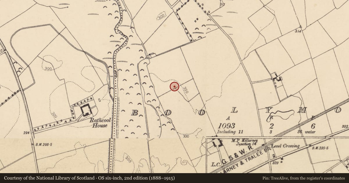 Ordnance Survey six-inch map, 2nd edition (1888–1915) covering the location of Church, Boolymore, County Cork, with a pin at the register's coordinates