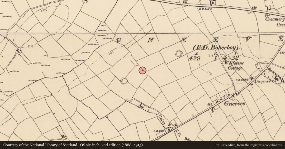 Ordnance Survey six-inch map, 2nd edition (1888–1915) covering the location of Fulacht fia, Gneeves (Duhallow By., Kilmeen Par.), County Cork, with a pin at the register's coordinates