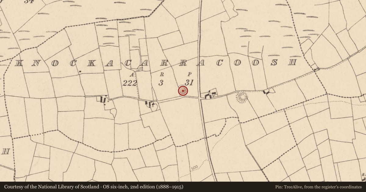 Ordnance Survey six-inch map, 2nd edition (1888–1915) covering the location of Souterrain, Knockacarracoosh, County Cork, with a pin at the register's coordinates