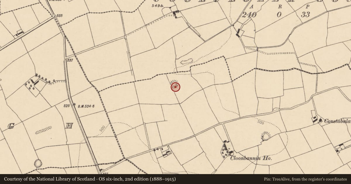 Ordnance Survey six-inch map, 2nd edition (1888–1915) covering the location of Souterrain, Cloonbannin East, County Cork, with a pin at the register's coordinates