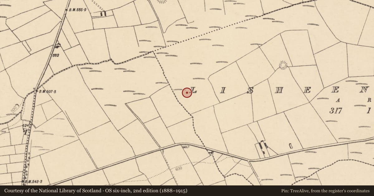 Ordnance Survey six-inch map, 2nd edition (1888–1915) covering the location of Fulacht fia, Lisheenafeela, County Cork, with a pin at the register's coordinates