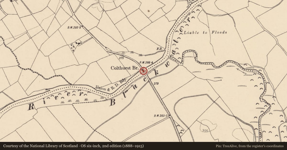 Ordnance Survey six-inch map, 2nd edition (1888–1915) covering the location of Bridge, Rathcool, Dromahoe, County Cork, with a pin at the register's coordinates