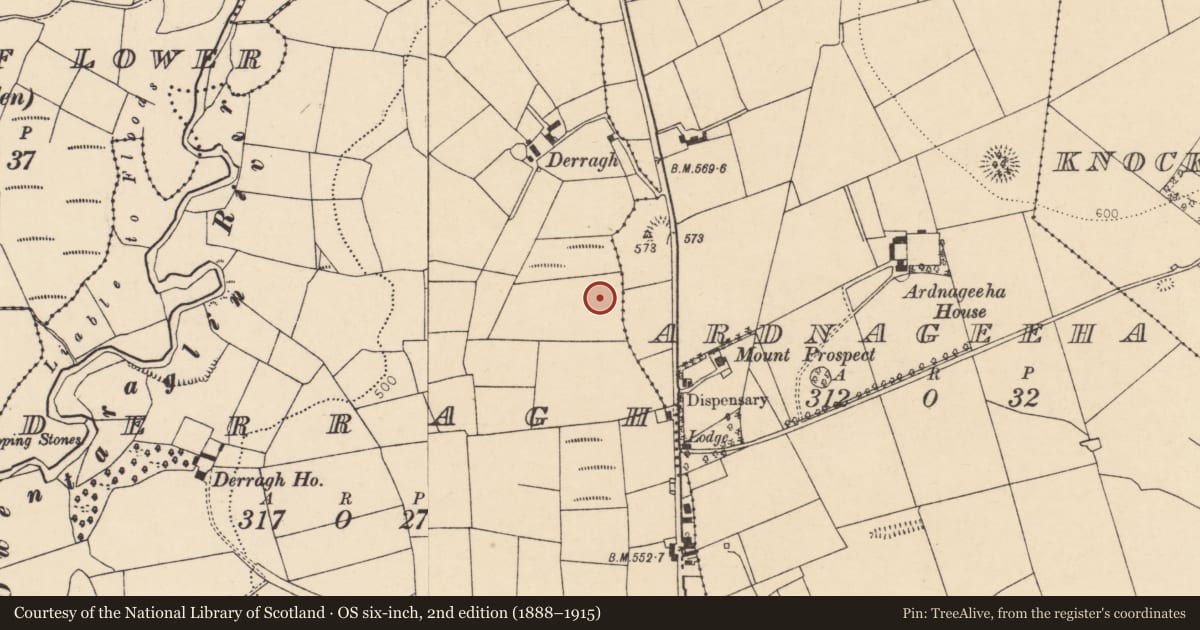 Ordnance Survey six-inch map, 2nd edition (1888–1915) covering the location of Burnt mound, Derragh, County Cork, with a pin at the register's coordinates
