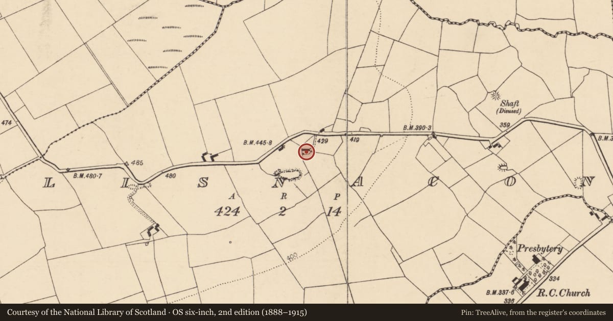 Ordnance Survey six-inch map, 2nd edition (1888–1915) covering the location of House - vernacular house, Lisnacon, County Cork, with a pin at the register's coordinates
