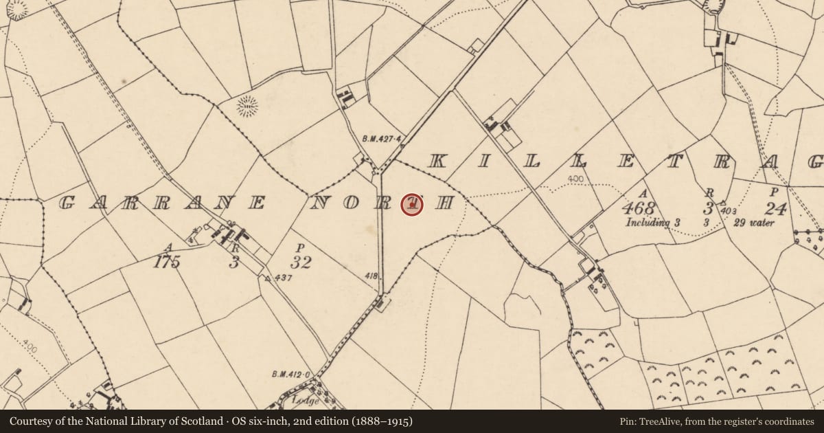 Ordnance Survey six-inch map, 2nd edition (1888–1915) covering the location of Burnt mound, Garrane North, County Cork, with a pin at the register's coordinates