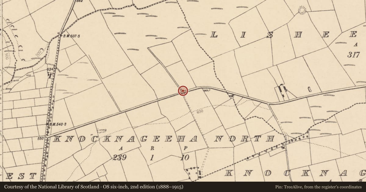 Ordnance Survey six-inch map, 2nd edition (1888–1915) covering the location of Burnt mound, Knocknageeha North, County Cork, with a pin at the register's coordinates