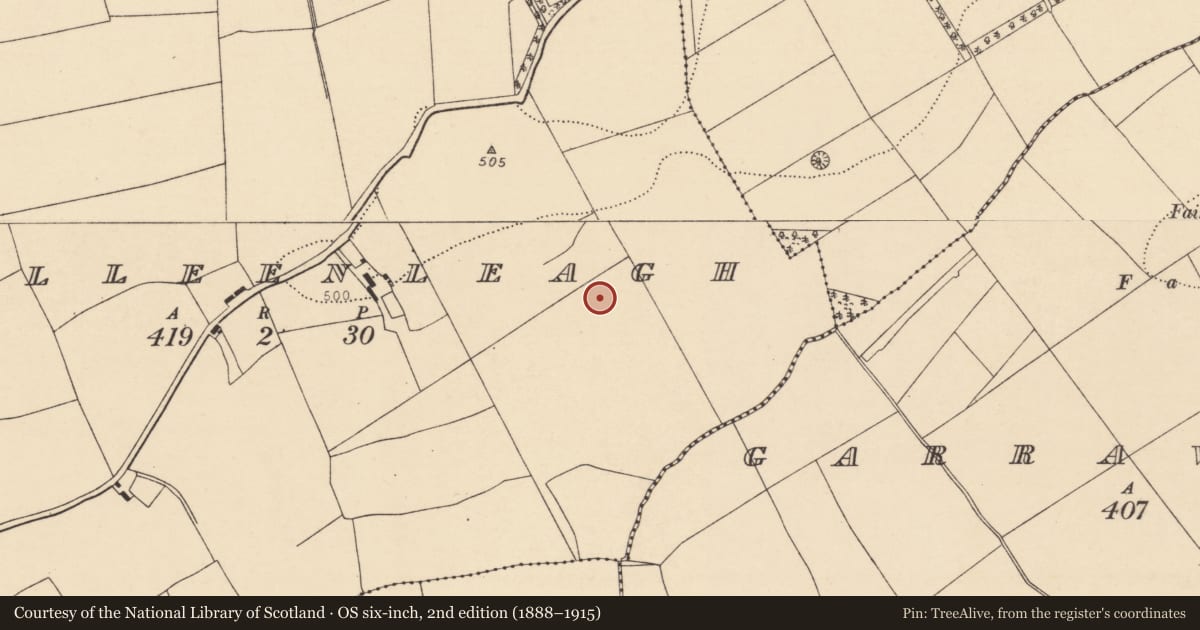 Ordnance Survey six-inch map, 2nd edition (1888–1915) covering the location of Fulacht fia, Killeenleagh, County Cork, with a pin at the register's coordinates