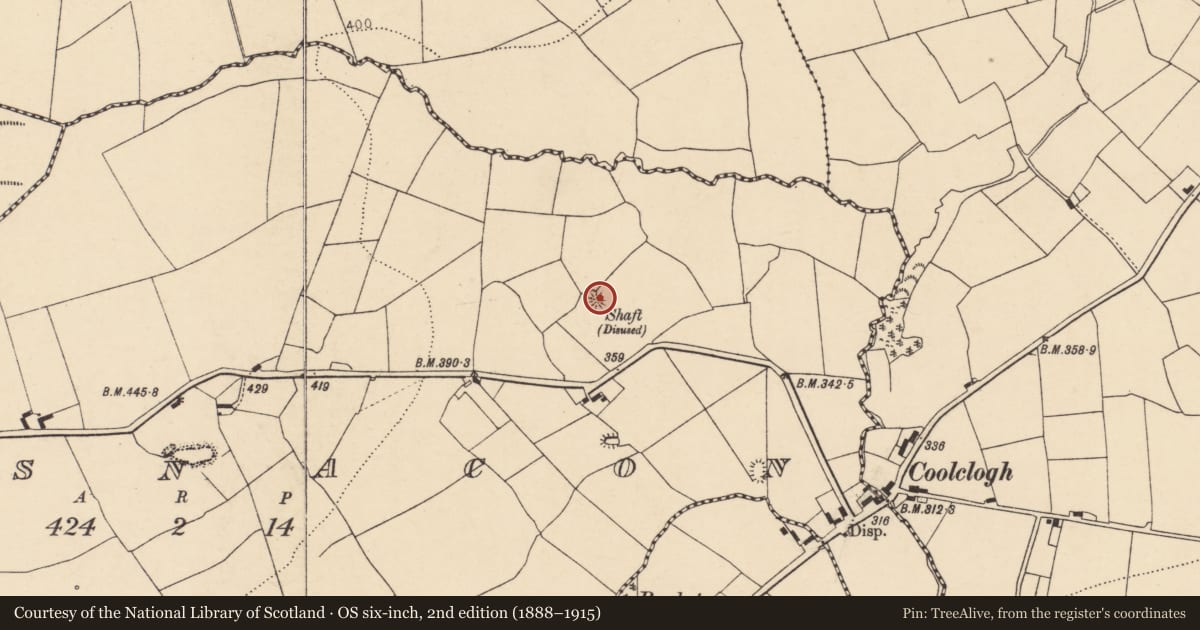 Ordnance Survey six-inch map, 2nd edition (1888–1915) covering the location of Mine, Lisnacon, County Cork, with a pin at the register's coordinates