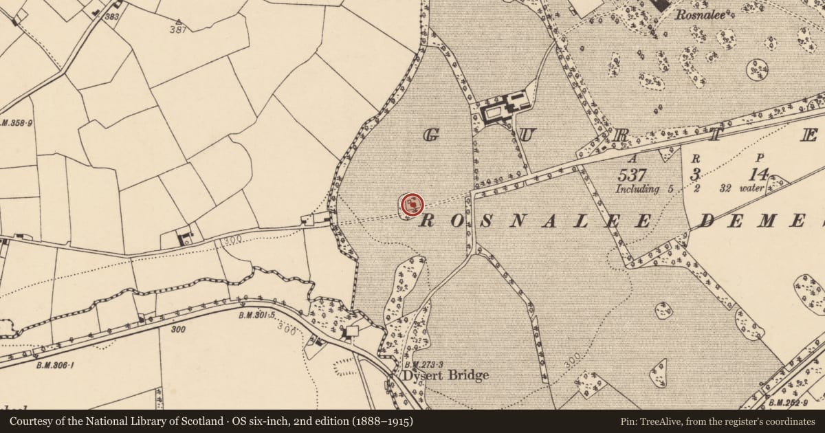 Ordnance Survey six-inch map, 2nd edition (1888–1915) covering the location of Designed landscape - tree-ring, Gurteen, County Cork, with a pin at the register's coordinates