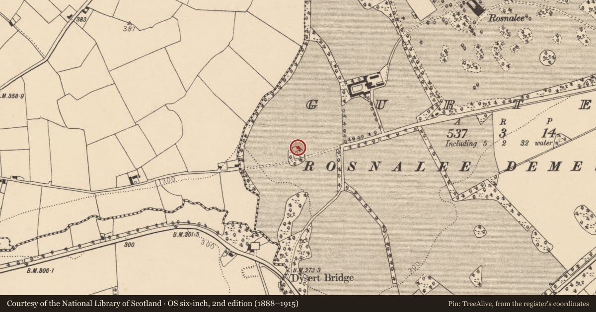 Ordnance Survey six-inch map, 2nd edition (1888–1915) covering the location of Kiln - lime, Gurteen, County Cork, with a pin at the register's coordinates