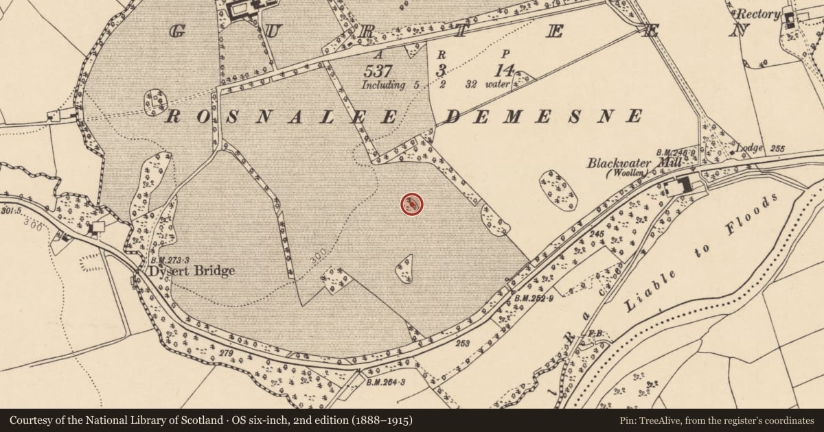 Ordnance Survey six-inch map, 2nd edition (1888–1915) covering the location of Designed landscape - tree-ring, Gurteen, County Cork, with a pin at the register's coordinates